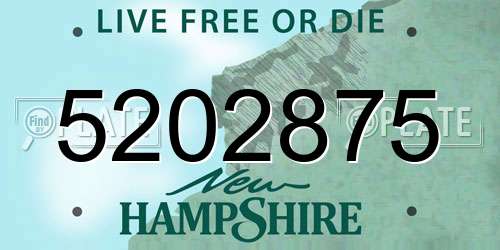 5202875 New Hampshire License Plate