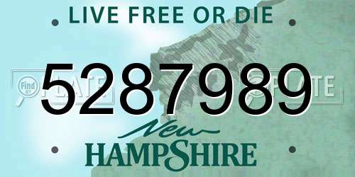 5287989 New Hampshire License Plate