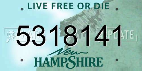 5318141 New Hampshire License Plate