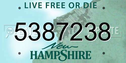 5387238 New Hampshire License Plate