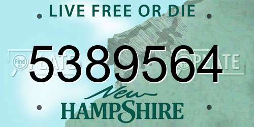 5389564 New Hampshire License Plate