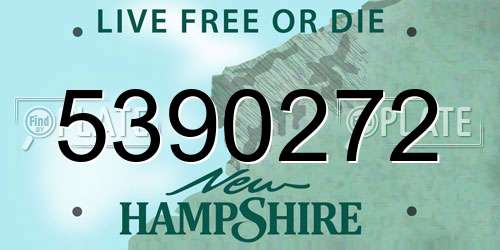 5390272 New Hampshire License Plate