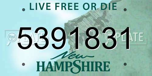 5391831 New Hampshire License Plate
