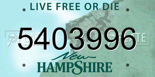 5403996 New Hampshire License Plate