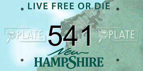 541 New Hampshire License Plate