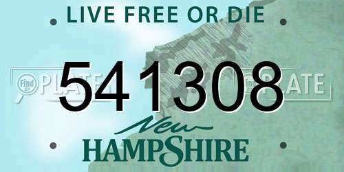 541308 New Hampshire License Plate