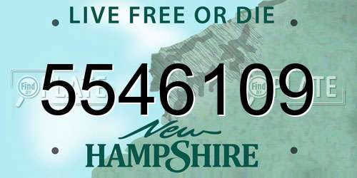 5546109 New Hampshire License Plate