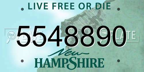 5548890 New Hampshire License Plate