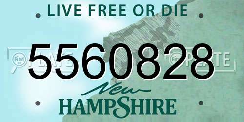 5560828 New Hampshire License Plate