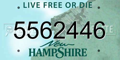 5562446 New Hampshire License Plate