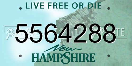 5564288 New Hampshire License Plate