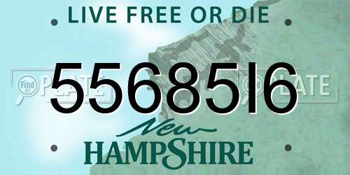 55685I6 New Hampshire License Plate