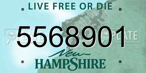 5568901 New Hampshire License Plate
