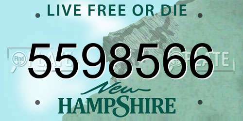 5598566 New Hampshire License Plate