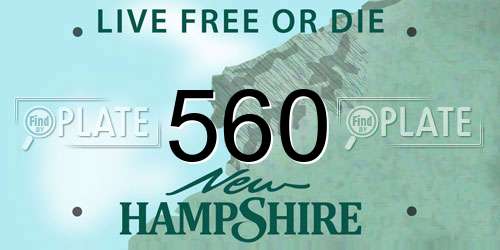 560 New Hampshire License Plate