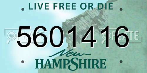 5601416 New Hampshire License Plate