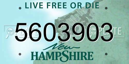 5603903 New Hampshire License Plate