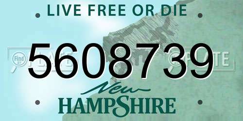 5608739 New Hampshire License Plate