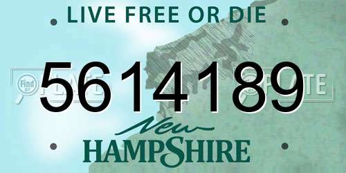 5614189 New Hampshire License Plate