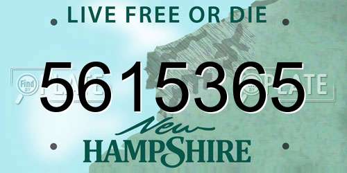 5615365 New Hampshire License Plate