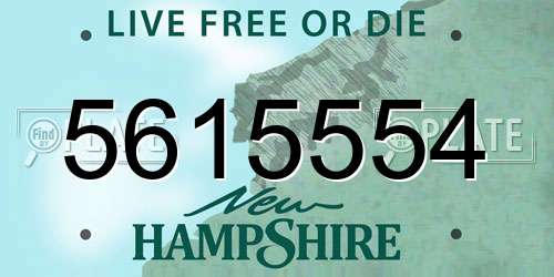 5615554 New Hampshire License Plate