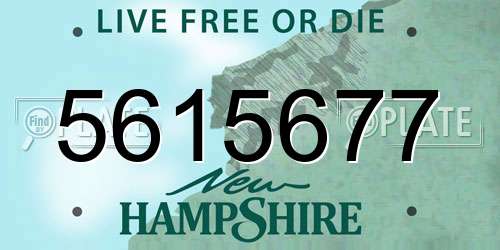 5615677 New Hampshire License Plate
