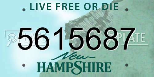 5615687 New Hampshire License Plate