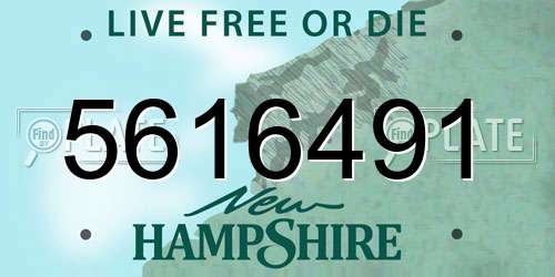 5616491 New Hampshire License Plate