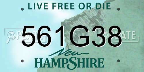561G38 New Hampshire License Plate