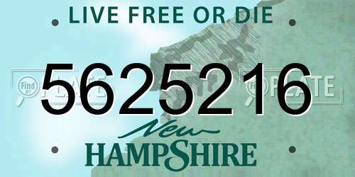 5625216 New Hampshire License Plate