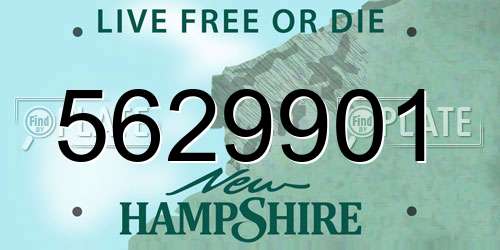 5629901 New Hampshire License Plate