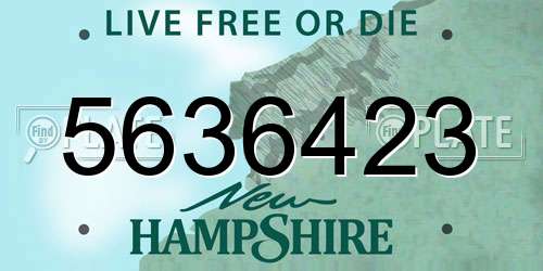 5636423 New Hampshire License Plate
