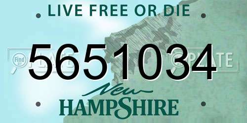 5651034 New Hampshire License Plate