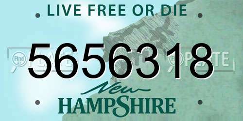 5656318 New Hampshire License Plate