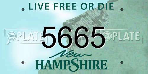 5665 New Hampshire License Plate