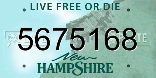 5675168 New Hampshire License Plate