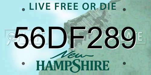 56DF289 New Hampshire License Plate