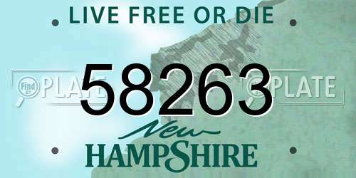 58263 New Hampshire License Plate