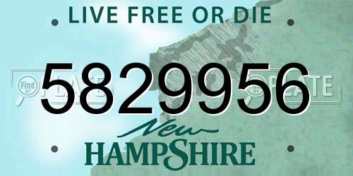 5829956 New Hampshire License Plate