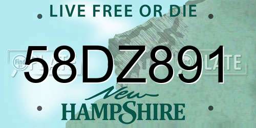 58DZ891 New Hampshire License Plate