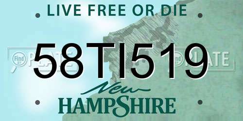 58TI519 New Hampshire License Plate