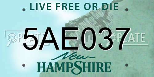 5AE037 New Hampshire License Plate