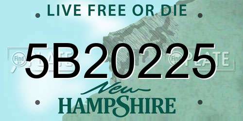 5B20225 New Hampshire License Plate