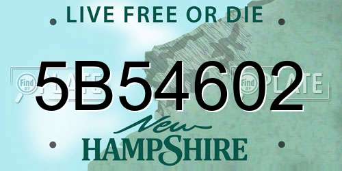 5B54602 New Hampshire License Plate