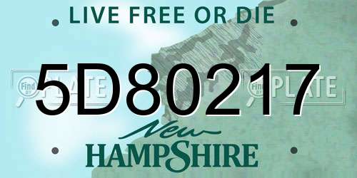 5D80217 New Hampshire License Plate