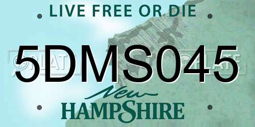 5DMS045 New Hampshire License Plate