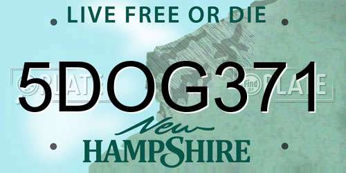 5DOG371 New Hampshire License Plate