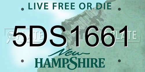 5DS1661 New Hampshire License Plate