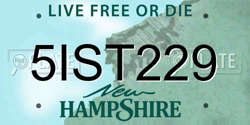 5IST229 New Hampshire License Plate