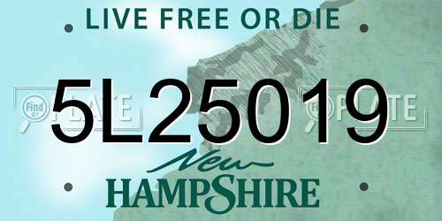 5L25019 New Hampshire License Plate